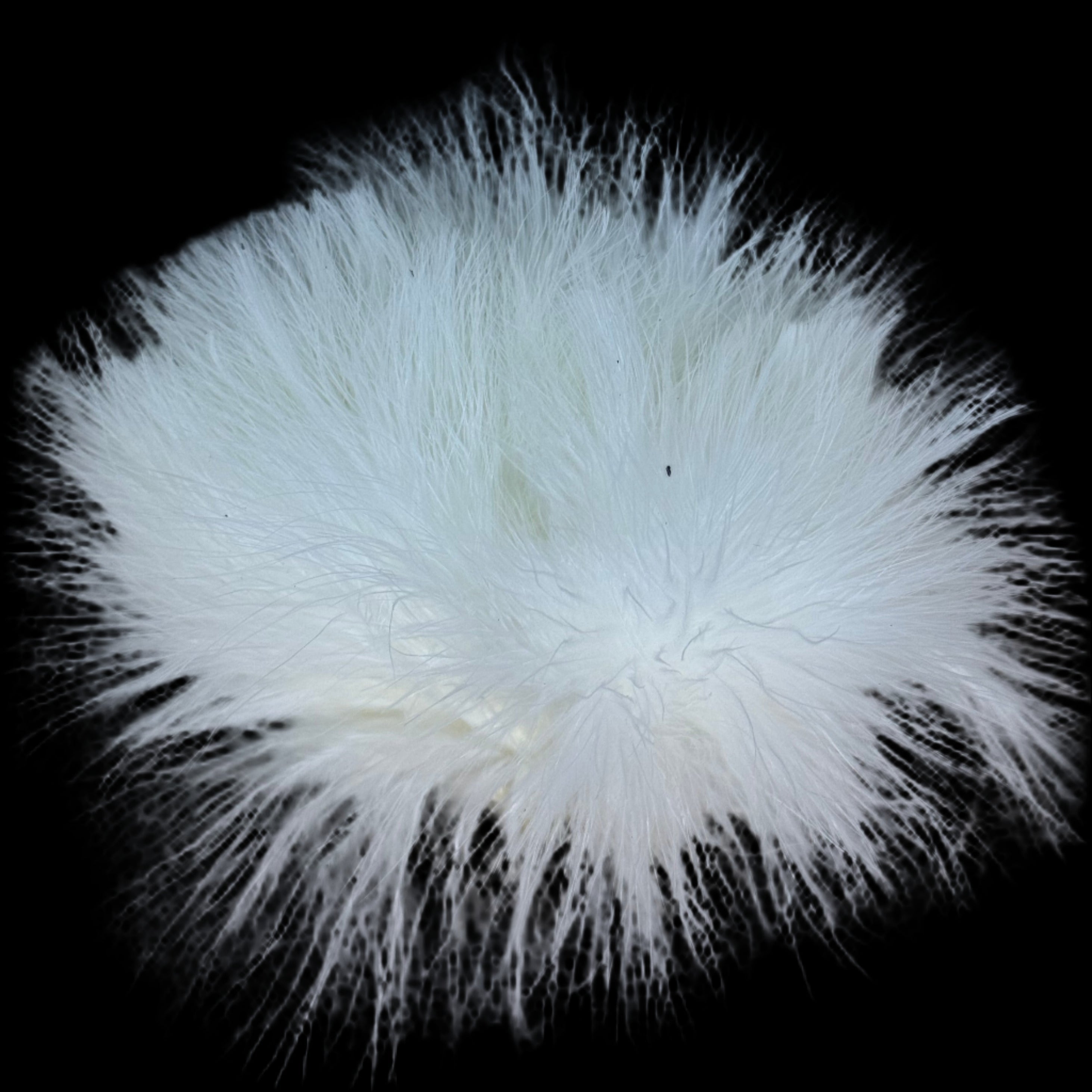 Marabou - Strung Blood Quill verpackt von RRSS