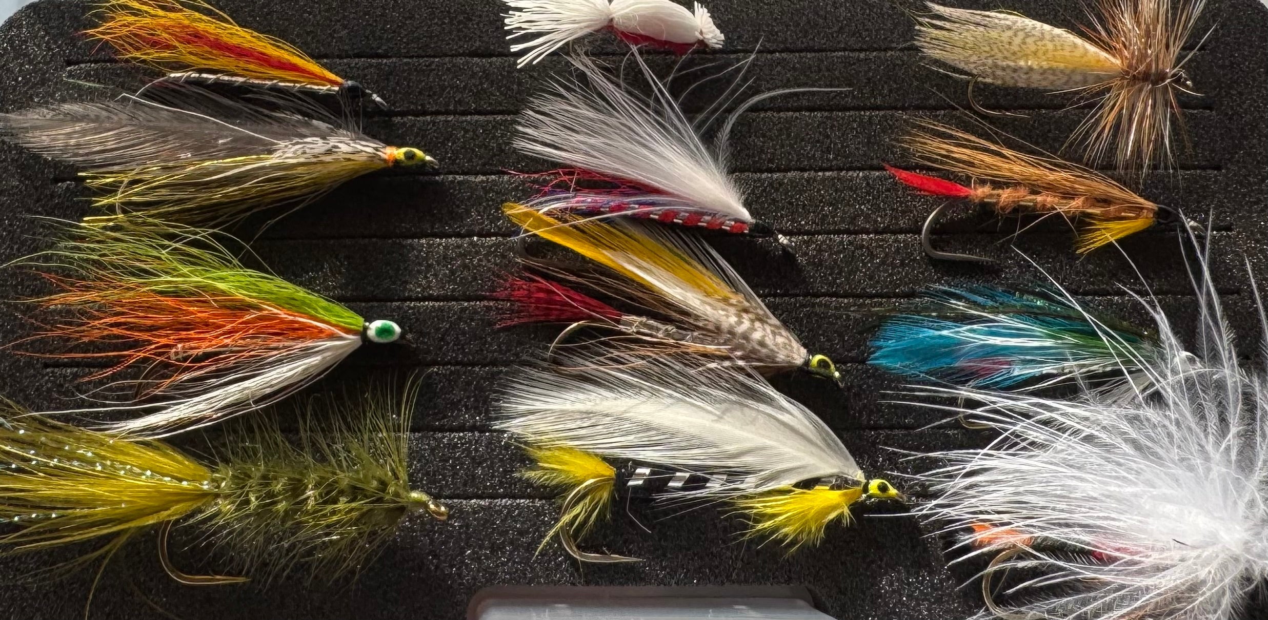 Saddleback Kollektion
