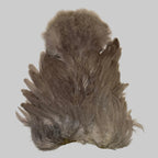 Whiting Soft Hackle mit Chickabou