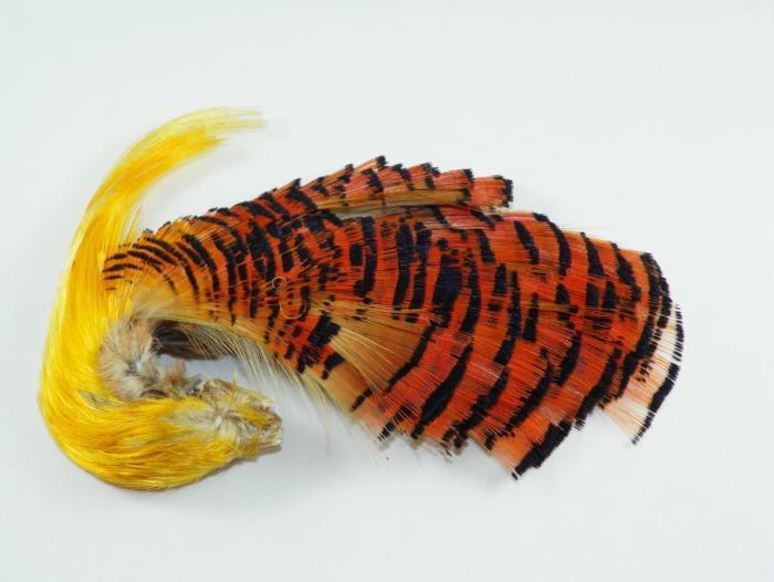 Hareline Golden Pheasant - Komplette Kopf