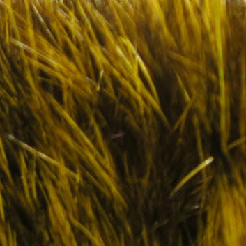 Dyed Hare's Maske