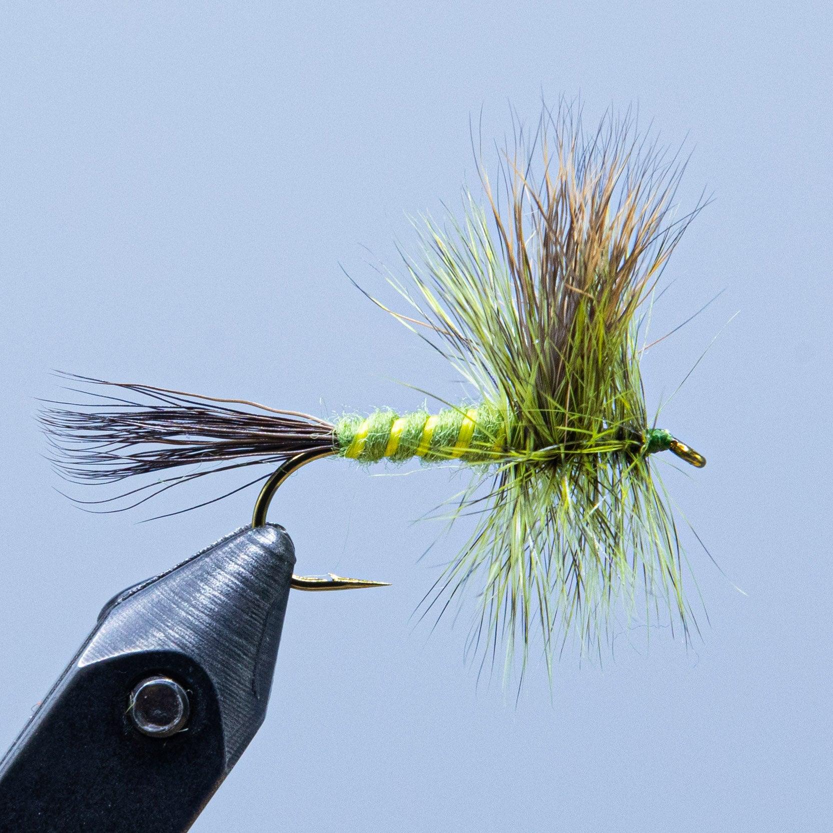 Grüner Drake Wulff