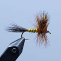 Brauner Drake Wulff