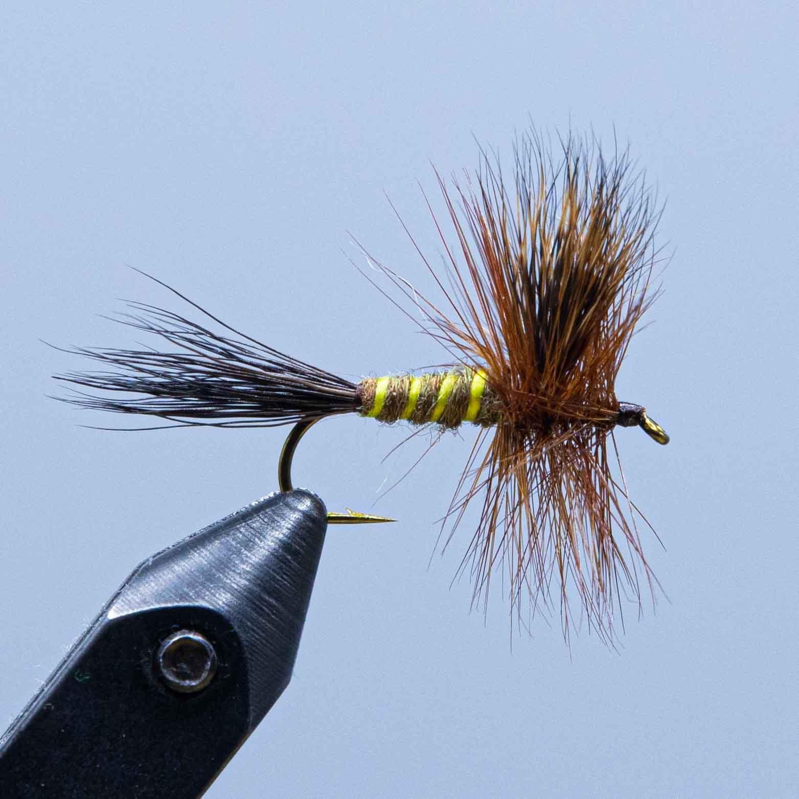 Brauner Drake Wulff
