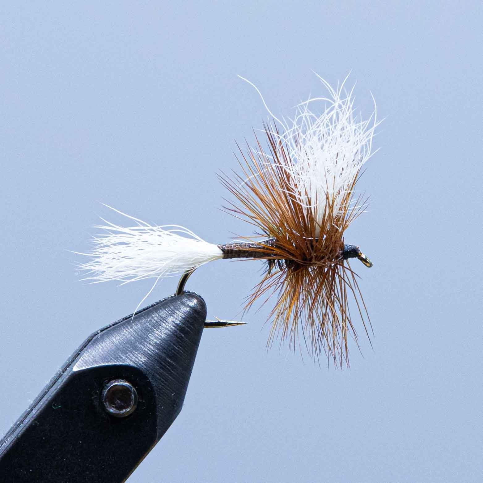 H&L Variante Wulff
