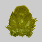Whiting Soft Hackle mit Chickabou