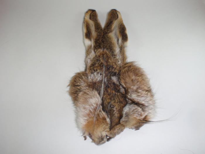 Hareline Hares Maske