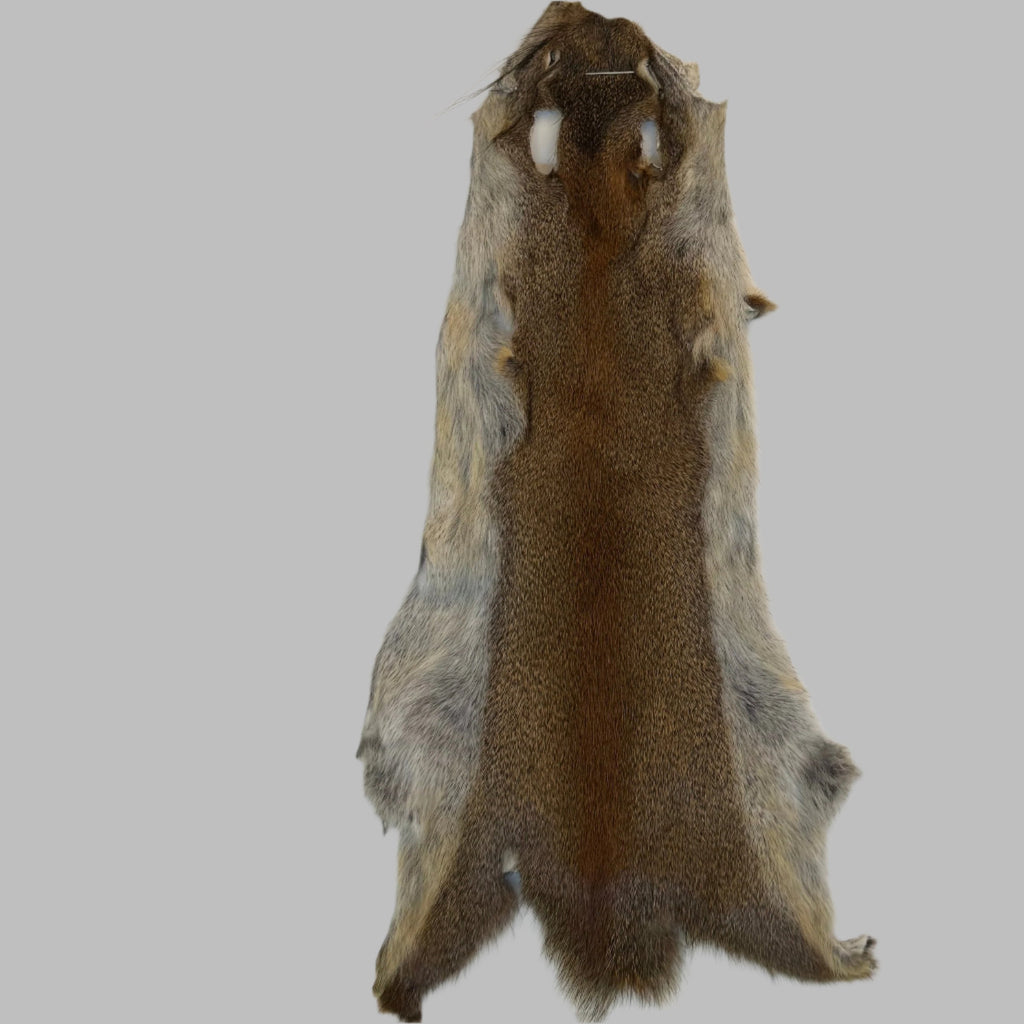 Wapsi Pine Squirrel Skin - Ganz