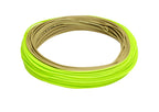 Rio Gold XP