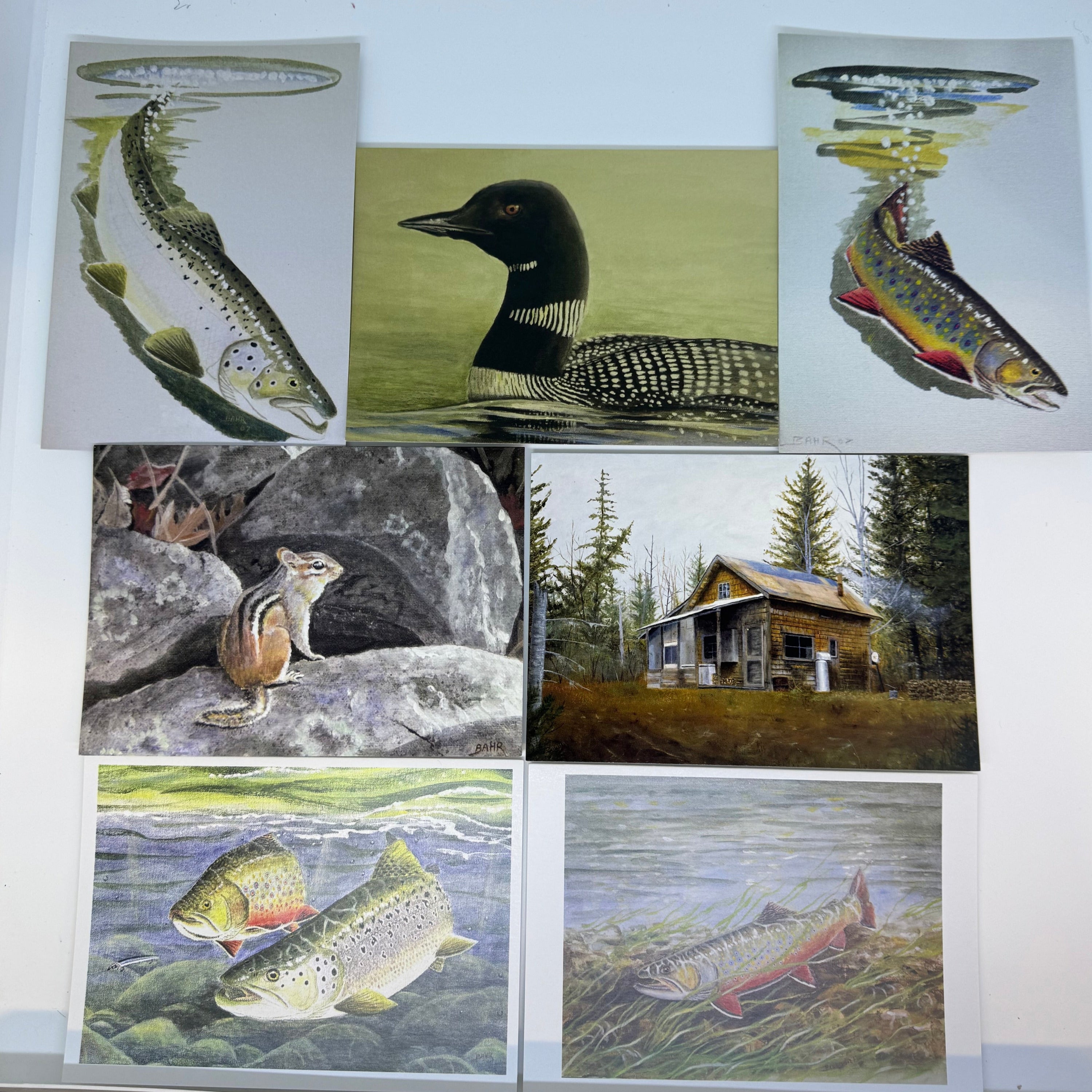 Gene Bahr Note Card 7er-Set