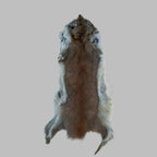 Wapsi Pine Squirrel Skin - Ganz