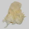 Whiting Soft Hackle mit Chickabou