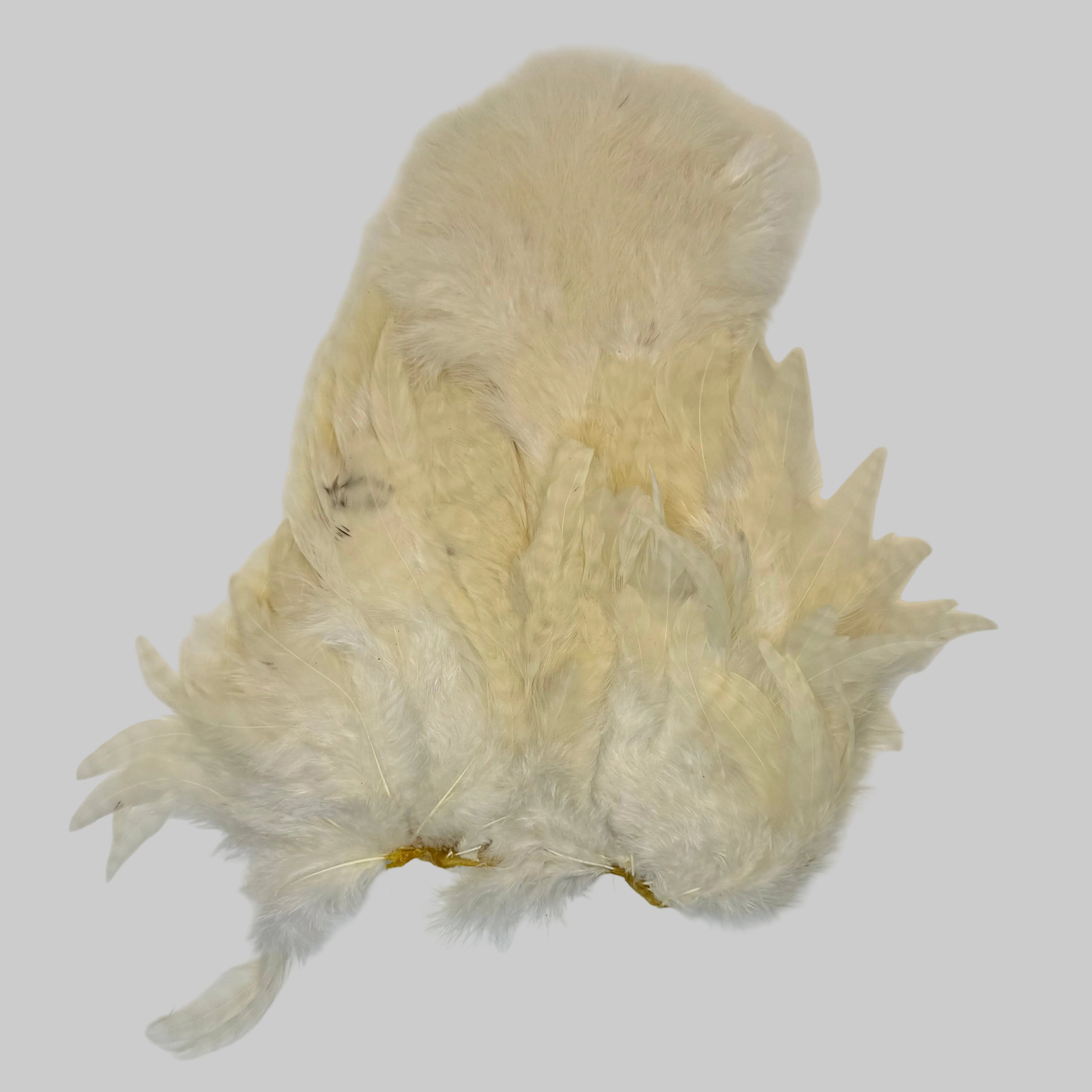 Whiting Soft Hackle mit Chickabou
