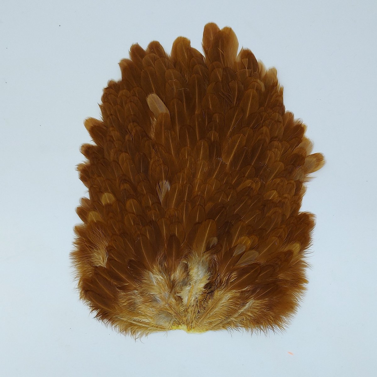 Whiting Farms 4b's Hen Saddle (Deutsche Ausgabe)