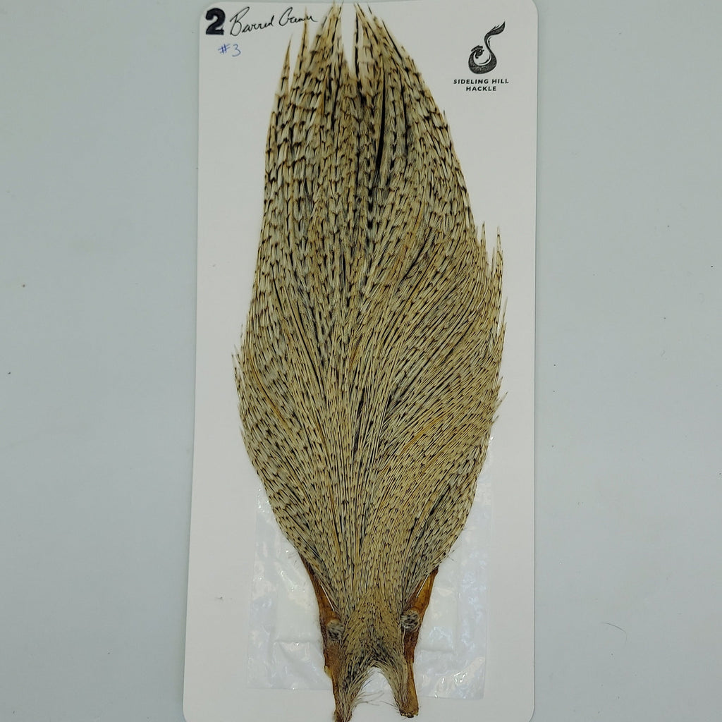 Sideing Hill Hackle Rooster Cape Barred Cream
