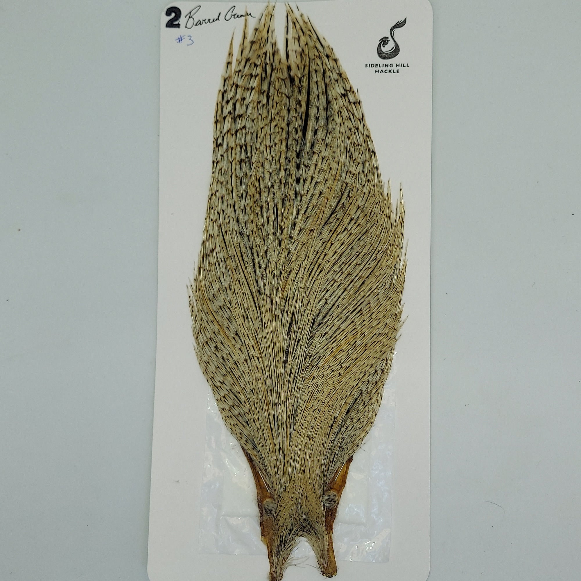Sideing Hill Hackle Rooster Cape Barred Cream