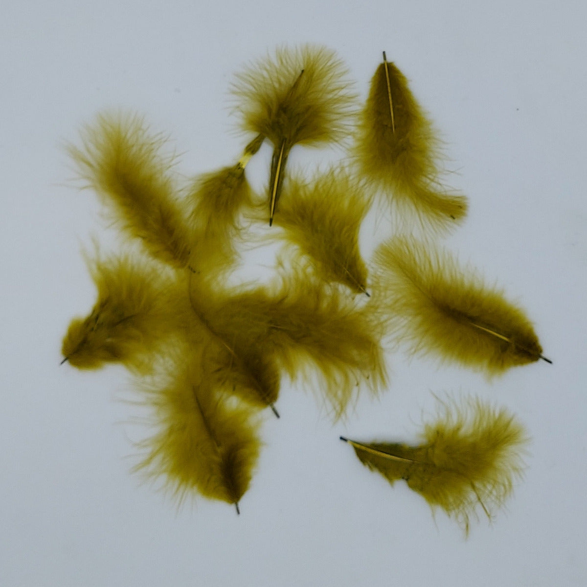 Mini-Marabou