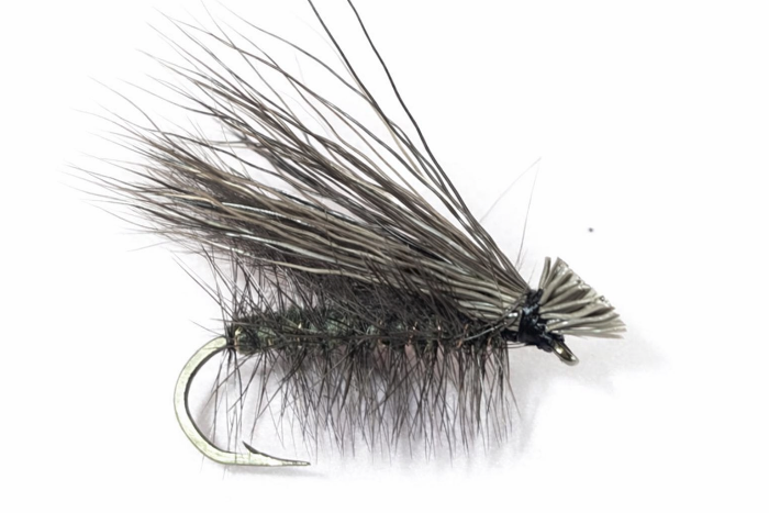 Quimby Caddis